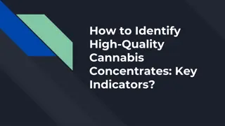 How to Identify High-Quality Cannabis Concentrates Key Indicators