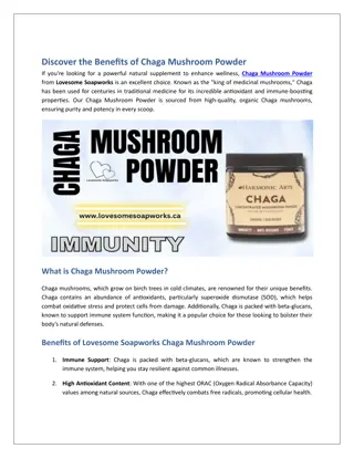 Discover the Benefits of Chaga Mushroom Powder