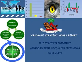 Performance Assessment Summary for Strategic Initiatives in 2017 Report