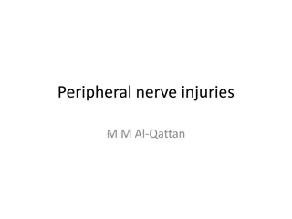 Overview of Peripheral Nerve Injuries and Brachial Plexus Injuries