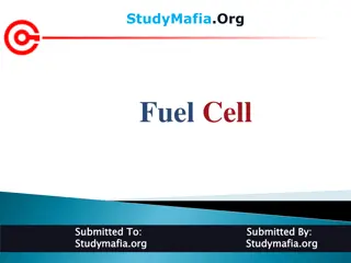 Fuel Cells: Definition, Working, and Applications