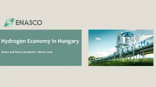 Hydrogen Economy in Hungary: Current Status and Future Outlook