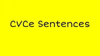 Fun CVCe Sentences for Learning