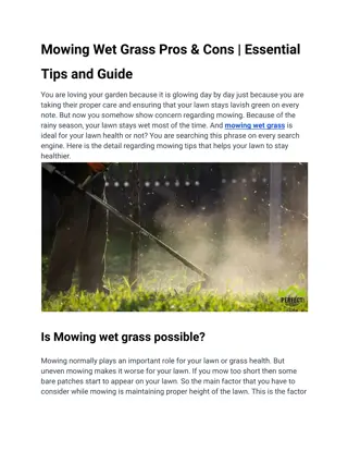 Mowing Wet Grass Pros & Cons _ Essential Tips and Guide