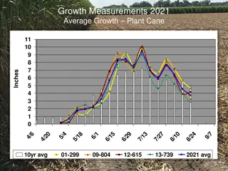 Growth Measurements 2021 for Plant Cane and First Stubble