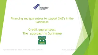 Financing and Guarantees to Support SMEs in the Caribbean: Credit Guarantee Fund Approach in Suriname