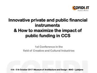 Maximizing Impact of Public Funding in CCS: Innovative Financial Instruments