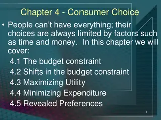 Consumer Choice: Budget Constraint & Utility Maximization