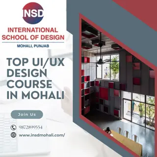 Top Creative Institute in Mohali – Courses in UI/UX, Fashion, Makeup, and Graphi