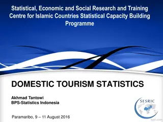 Domestic Tourism Statistics in Islamic Countries