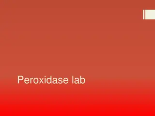 Investigating Chicken Liver Reactivity with Hydrogen Peroxide Using Peroxidase Lab