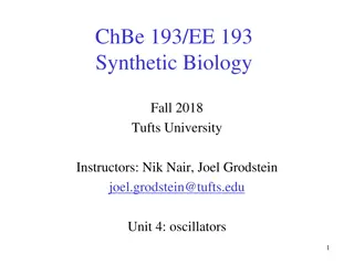 Understanding Oscillators in Synthetic Biology at Tufts University