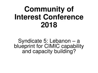 Enhancing CIMIC Capabilities: Insights from Lebanon Blueprint