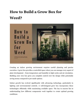 How to Build a Grow Box for Weed