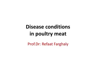 Disease Conditions in Poultry Meat: Causes, Symptoms, and Lesions