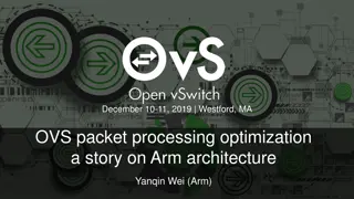 Optimizing Packet Processing on Arm Architecture in OVS: A Story of Performance Enhancement and Stability