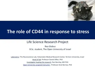 The Role of CD44 in Response to Stress: Research Project at The Open University of Israel