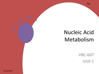 Purine Nucleotide Synthesis in Molecular Biology