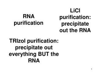 Methods for RNA Purification and Separation from DNA