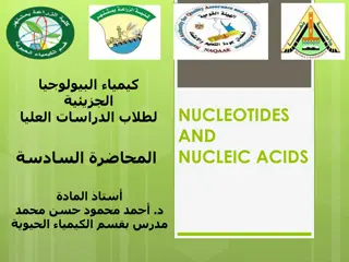 Exploring the World of Nucleotides and Nucleic Acids