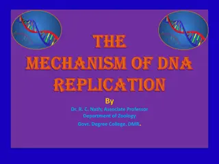 DNA Replication: Concepts and Mechanisms Explored