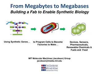 Transforming from Megabytes to Megabases: The Evolution of Synthetic Biology