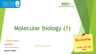 Nucleic Acids and the Central Dogma of Molecular Biology