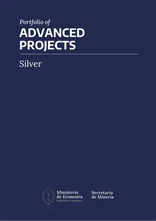 Portfolio of Advanced Silver Projects in Argentina's Mining Sector