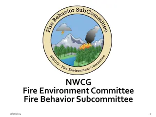 National Wildland Fire Committee Stewardship Leadership