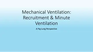 Mechanical Ventilation in a Pig Lung Perspective