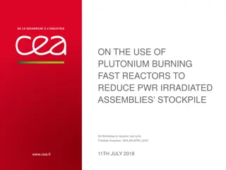 Plutonium Burning Fast Reactors for Reducing PWR Stockpile