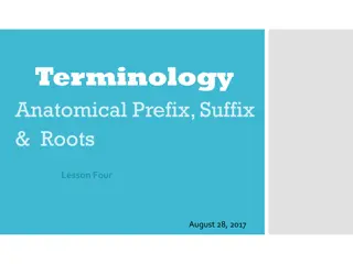 Understanding Anatomical Terminology: Prefixes, Suffixes, and Roots