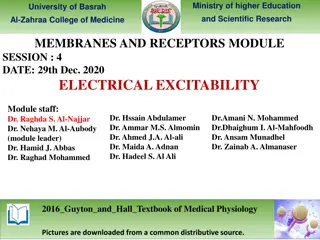 Membrane Excitability in Action Potentials