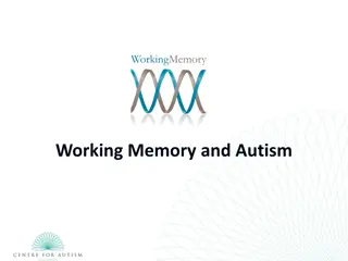 Understanding Working Memory Challenges in Autism Research