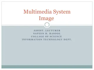 Digital Images and Colors in Multimedia Systems