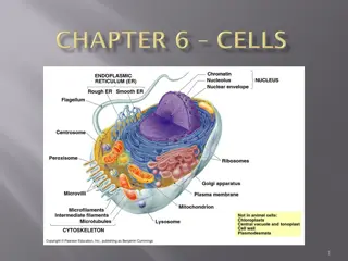 Exploring Living Cells with Light Microscopes in Classrooms