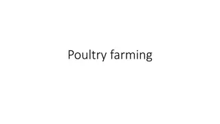 Poultry Farming: Explore Different Chicken Breeds and Housing Options