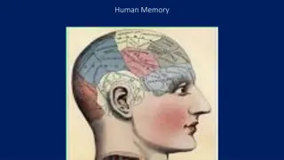 The Three Stages of Human Memory Process