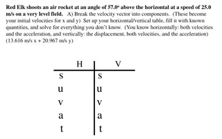 Red Elk's Rocket Flight Analysis