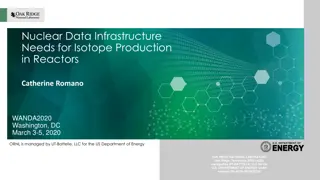 Importance of Optimizing Nuclear Data for Isotope Production in Reactors