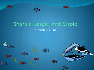 A Whale of a Tale - Captivating Visual Storytelling Presentation