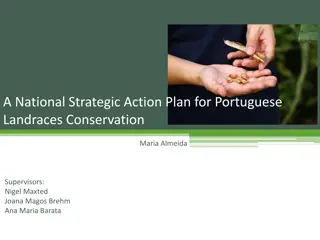 National Strategic Action Plan for Portuguese Landraces Conservation