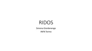 RIDOS Operations Overview at INFN Torino