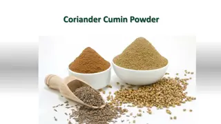 Cumin & Coriander