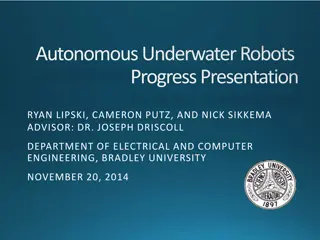 Progress Presentation of Autonomous Underwater Robots