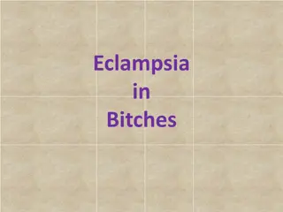 Eclampsia in Bitches: Causes and Symptoms