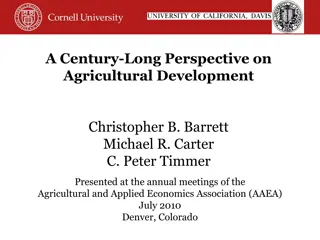 Century-Long Perspective on Agricultural Development