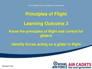 Principles of Flight for Gliders