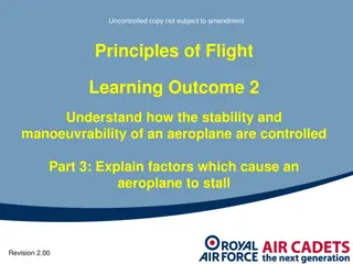 Aeroplane Stalling Factors: Trailing Edge Flaps and Leading Edge Devices