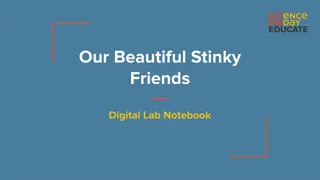 Our Beautiful Stinky Friends Digital Lab Notebook